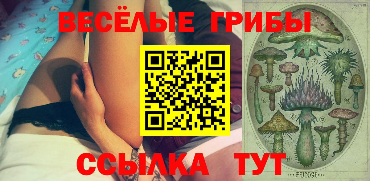 Псилоцибиновые грибы Cubensis Лосино-Петровский