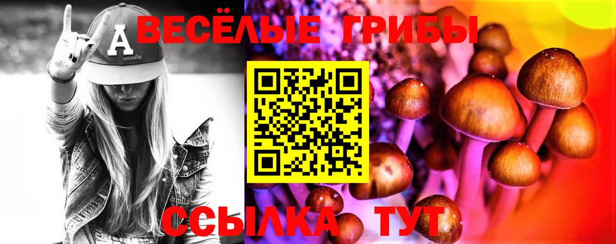 Галлюциногенные грибы мухоморы  Вход с VPN  Псилоцибиновые грибы GOLDEN TEACHER  Лосино-Петровский 